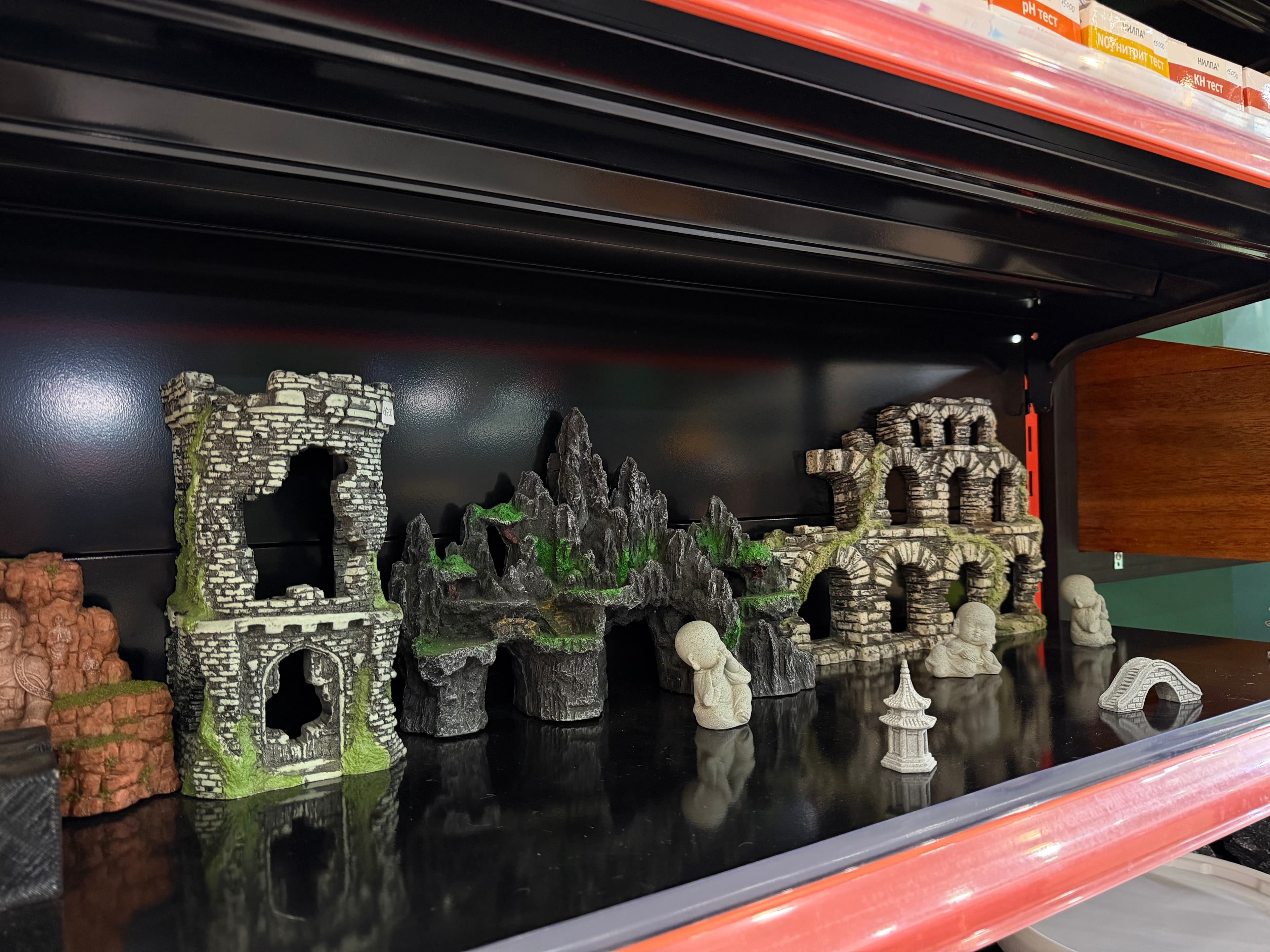 Aquarium and equipment selection
