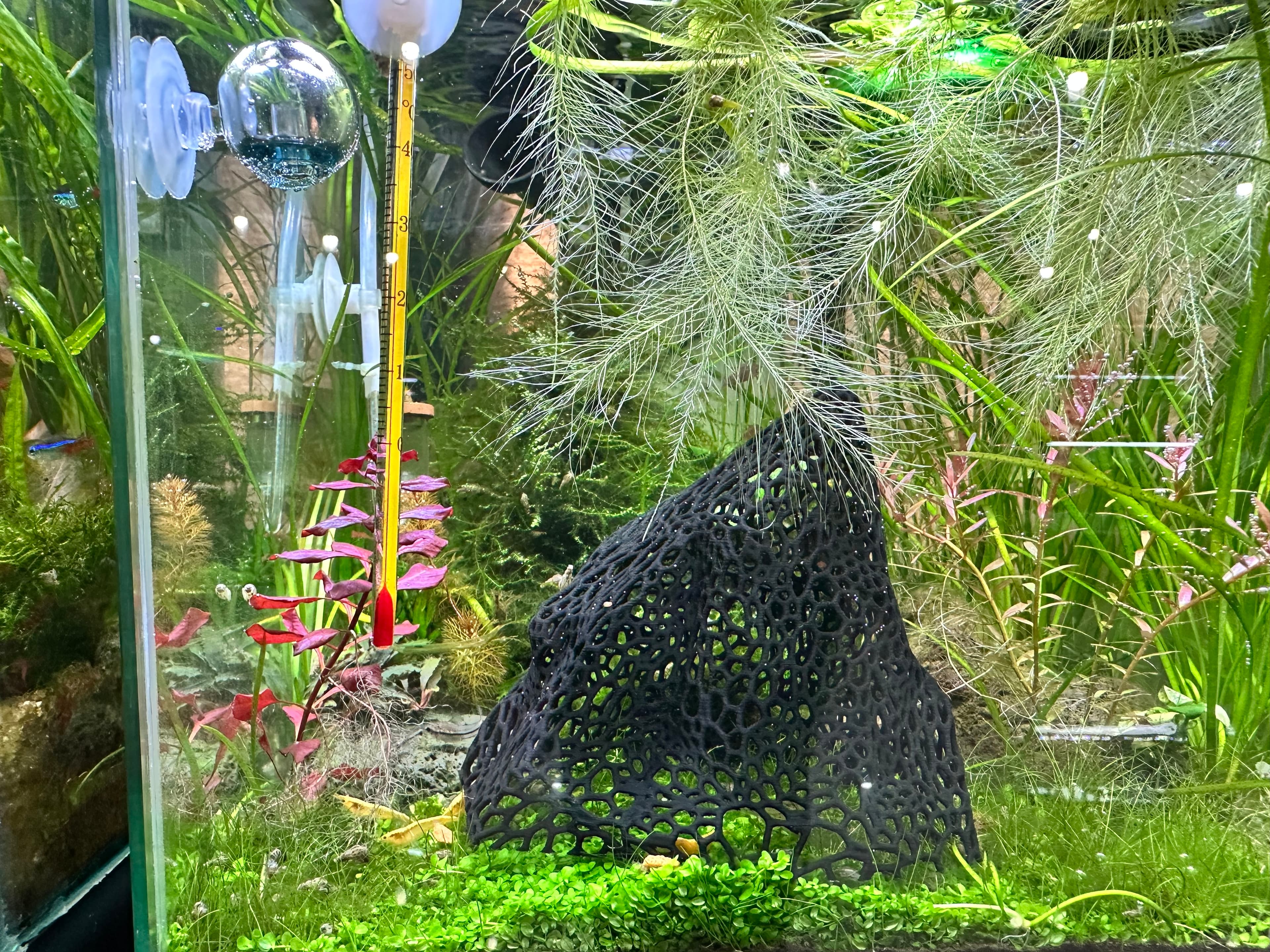 Custom aquarium equipment